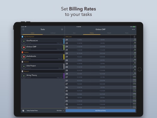 Timelogger: Time Tracking iPad screenshot 5 - Productivity app