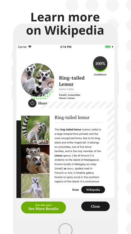Animal Identifier. screenshot-4