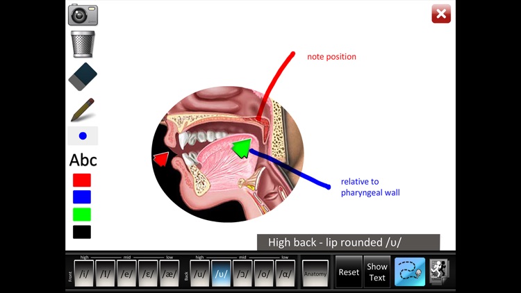 Vowels Front Back screenshot-4
