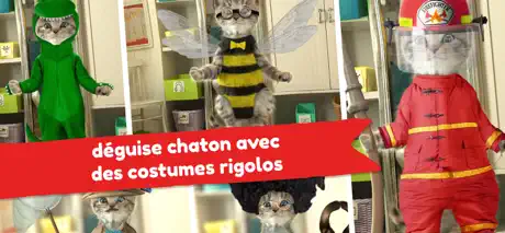 Petit chaton - Jeux d'aventure