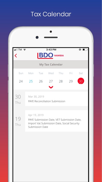 BDO Namibia screenshot 3