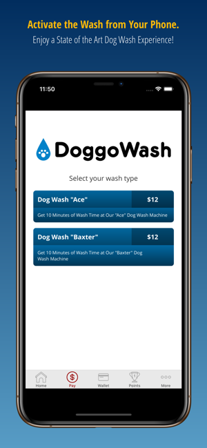 DoggoWash(圖3)-速報App