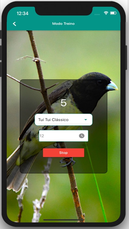 Coleiro Fibra Campeão screenshot-4