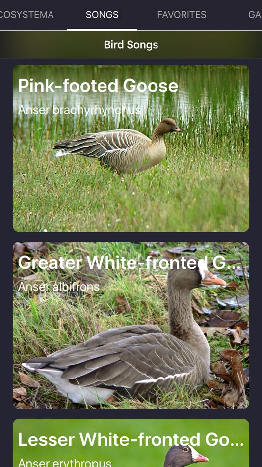 #9. Bird Sounds and Bird Calls (iOS) Bởi: Ecosystema