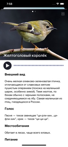 Пение птиц: определение голоса iPhone screenshot 3