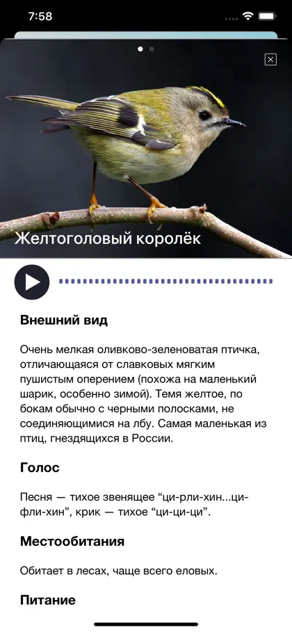 Screenshot 3 di 6 di Пение птиц: определение голоса
