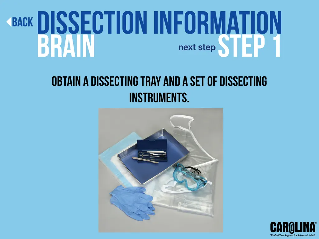 Screenshot #6 pour Mammalian Organ Dissection