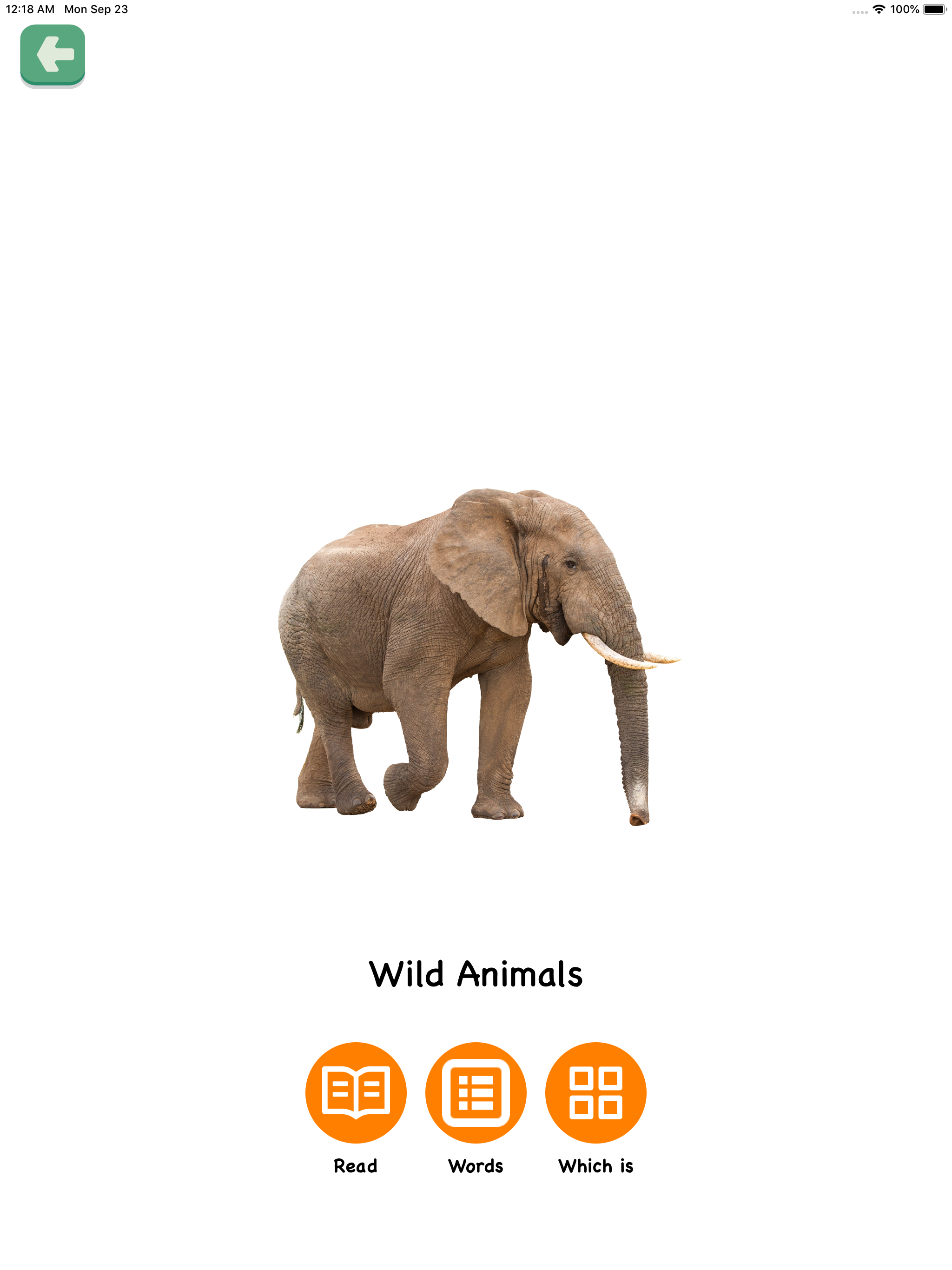 Flashcards 2/3 years toddlers screenshot 19