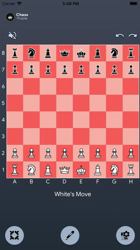 Agile Chess Puzzle