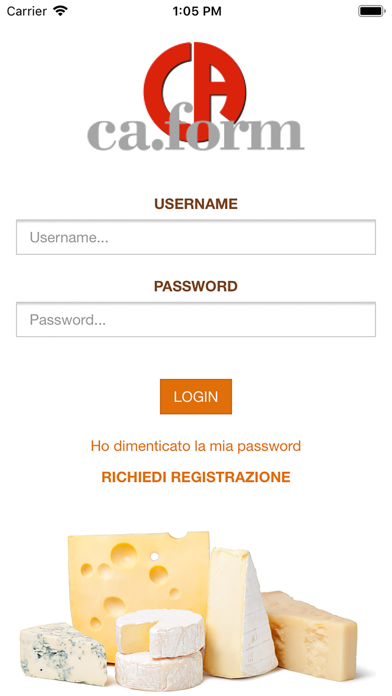 Screenshot #1 pour Business FiorDiMaso