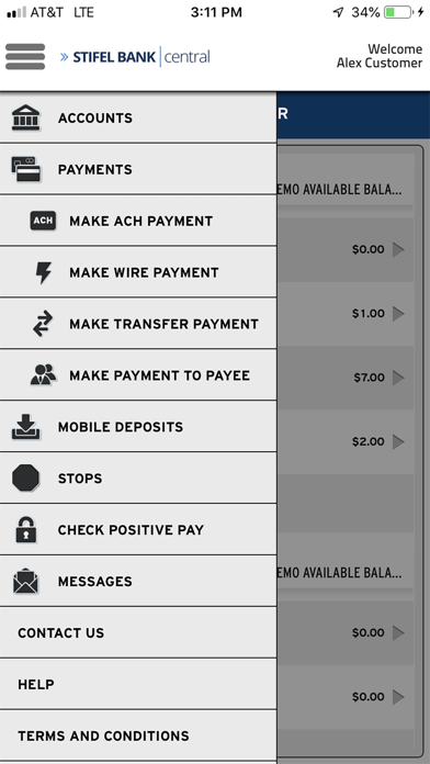 Stifel Bank Central Business Screenshot