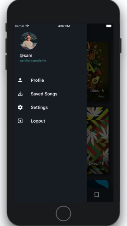 Chromatic FM screenshot-3