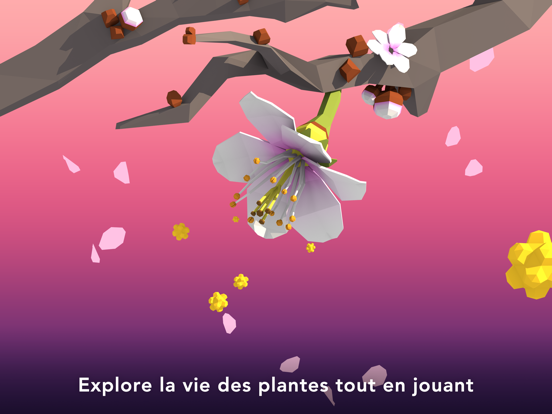 Screenshot #5 pour NAMOO – Arbre