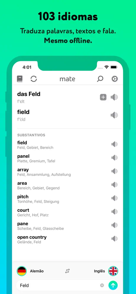 Tradutor Profissional – Mate