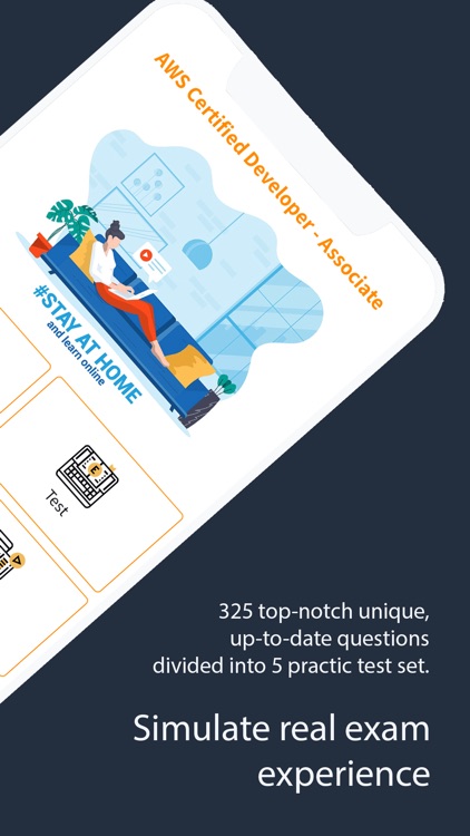AWS Certified Developer CDA-01