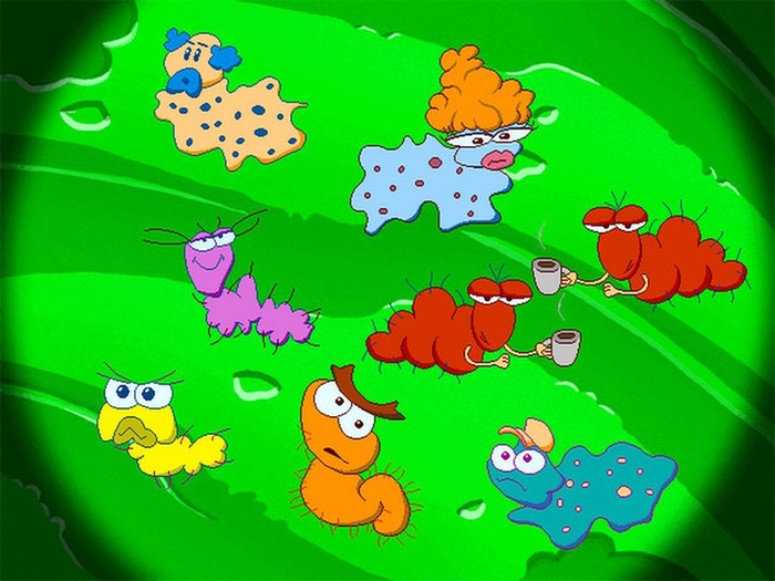 Freddi Fish 5 Coral Cove