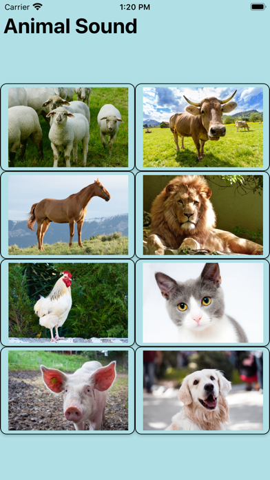 Animal Sound 12 Screenshot
