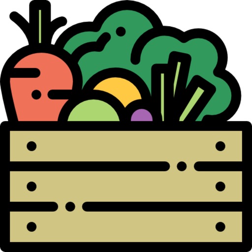Healthy Recipe