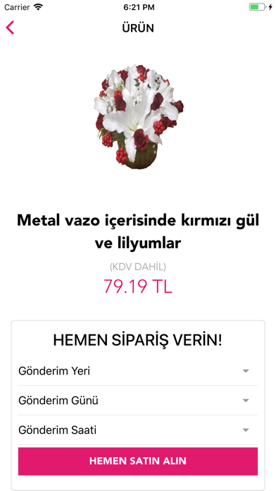 Screenshot #2 pour Ayda Çiçek