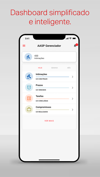 AASP Gerenciador Screenshot