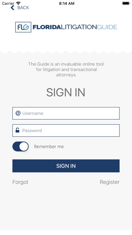 Florida Litigation Guide