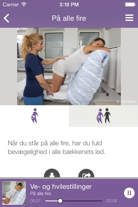 Fødestillinger