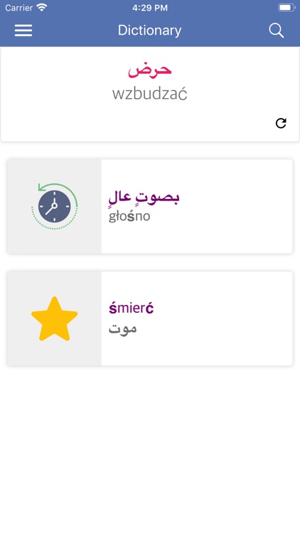 Arabic Polish Dictionary screenshot-7