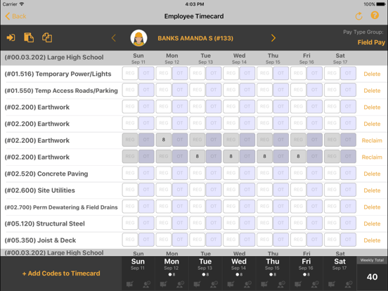 Screenshot #4 pour hh2 Remote Payroll
