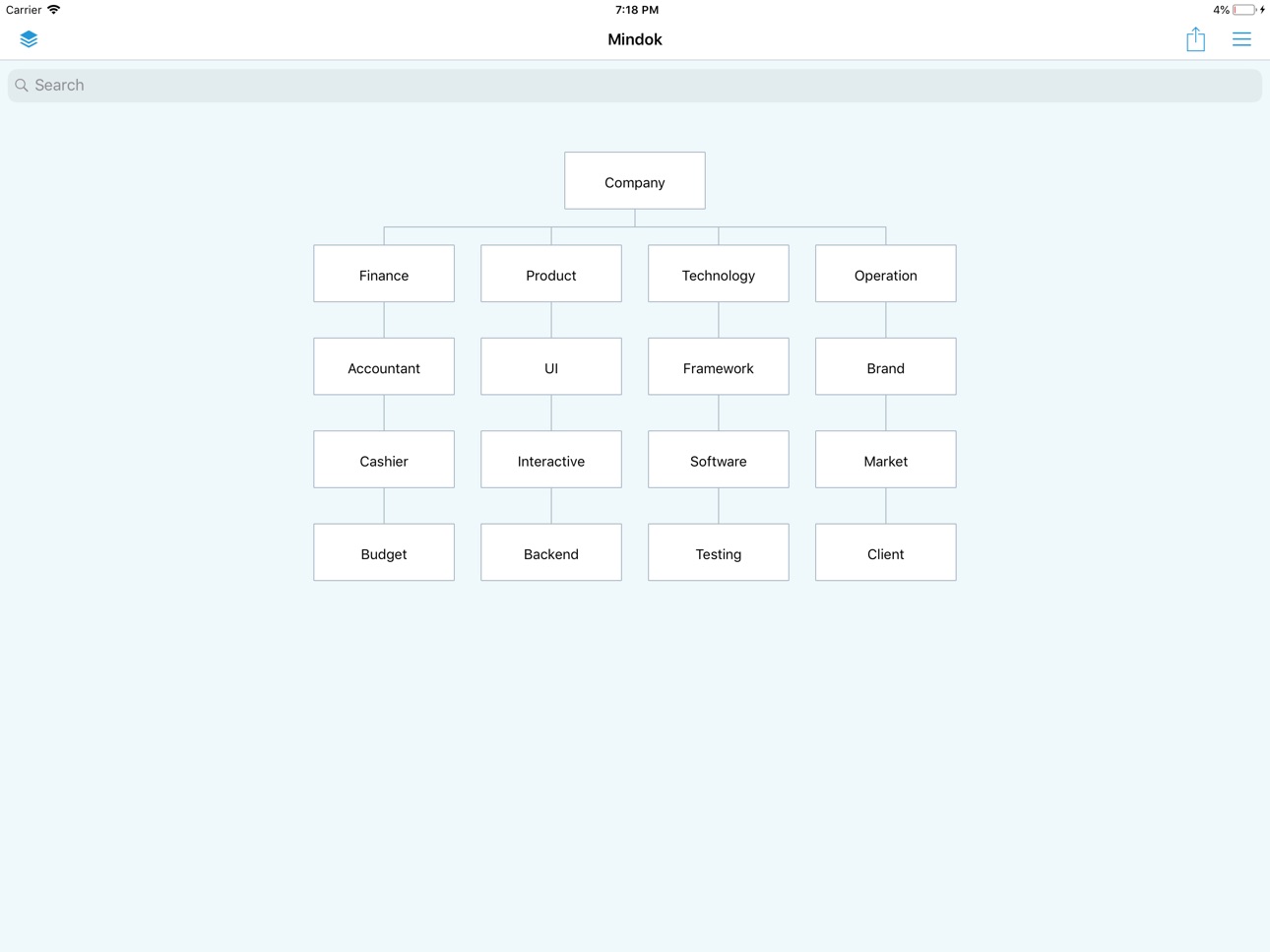 iPad screenshot