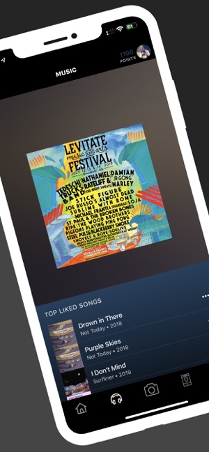 Levitate Music & Arts Festival(圖4)-速報App