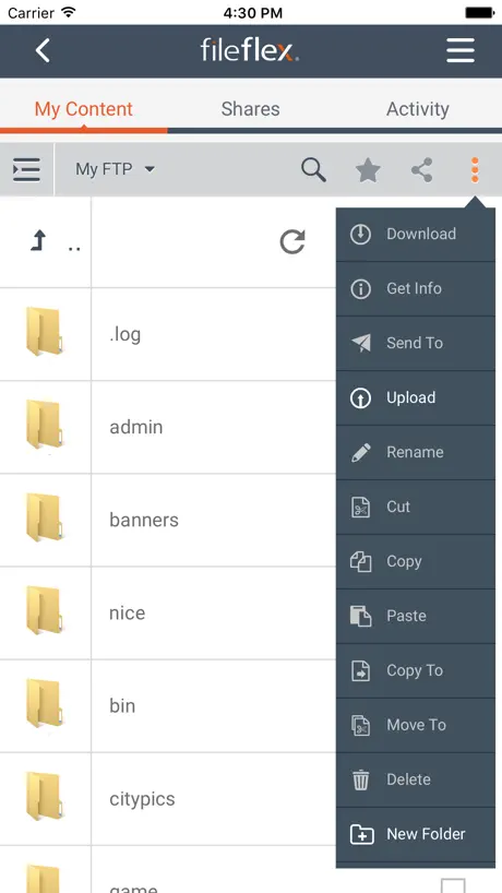 FileFlex