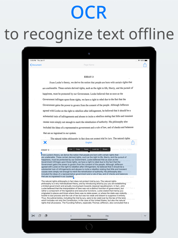 Basic Scan - PDF Scanner, OCR iPad screenshot