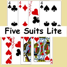 Activities of Five Suits Lite