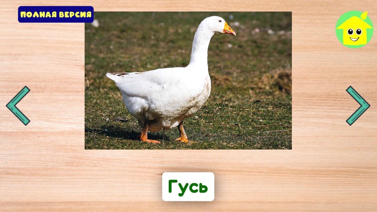 Слоги: учимся читать light