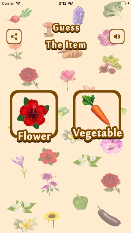 Master Guess Vegetable Flower
