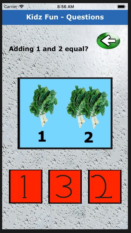 Kidz Fun - Middle and Asia