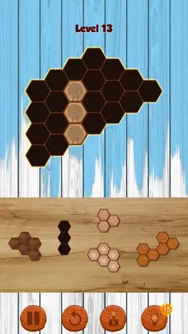 Game screenshot Hexa Wooden Block Puzzle! hack