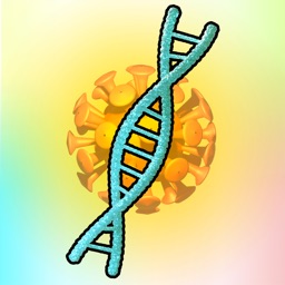 Barrel of DNA