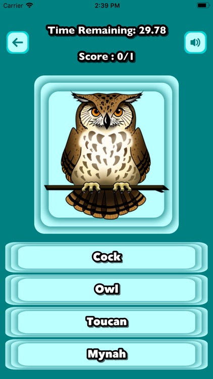 Master Guess The Animal Bird