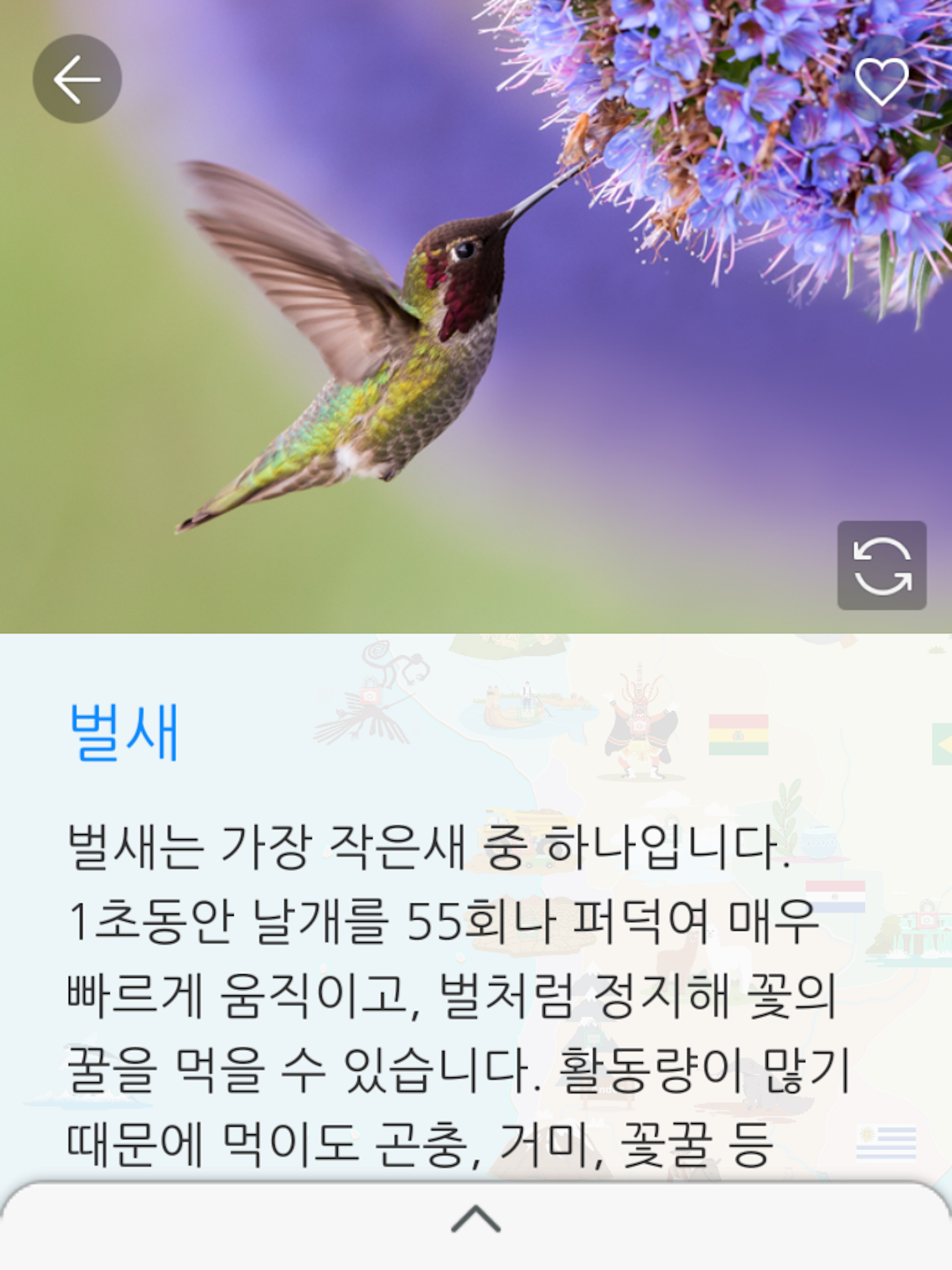 브라운 아틀라스