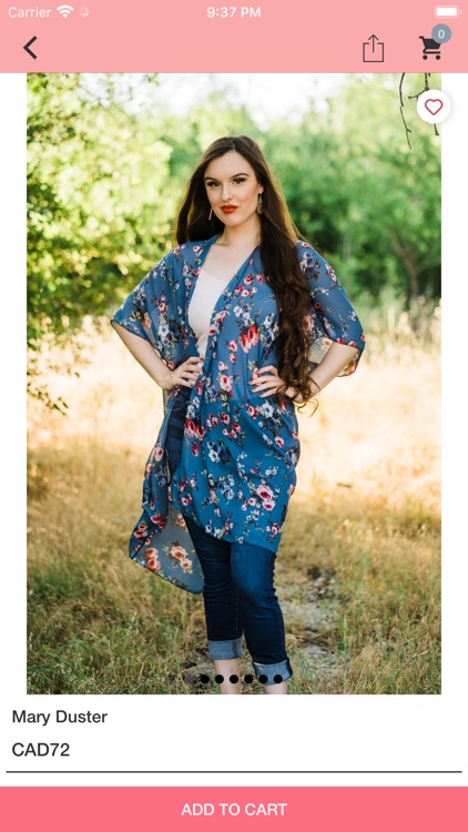 Urban Cowgirl & Co. screenshot-3