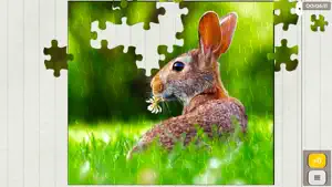 Epic Jigsaw Puzzles: Nature screenshot 2