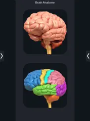 my brain anatomy ipad resimleri 1