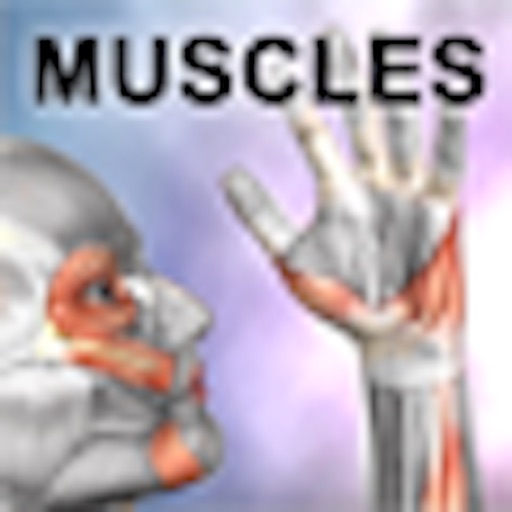 Learn Muscles: Anatomy iOS App