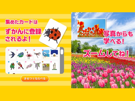 Screenshot #6 pour 季節感カード