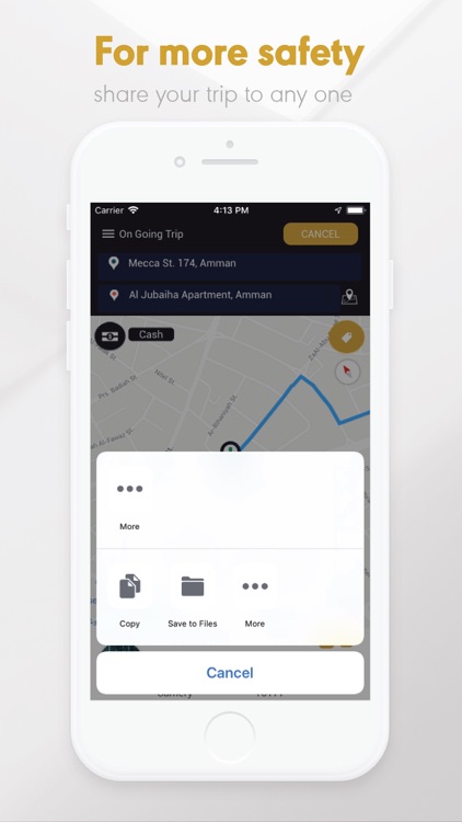 Queen Car screenshot-4