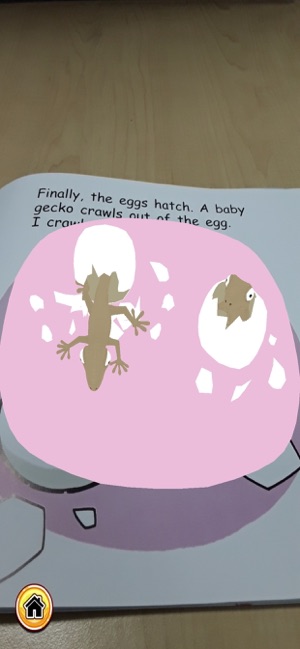 Little Gecko Loses Its Tail AR(圖2)-速報App