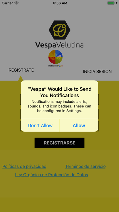 Vespa Velutina Screenshot