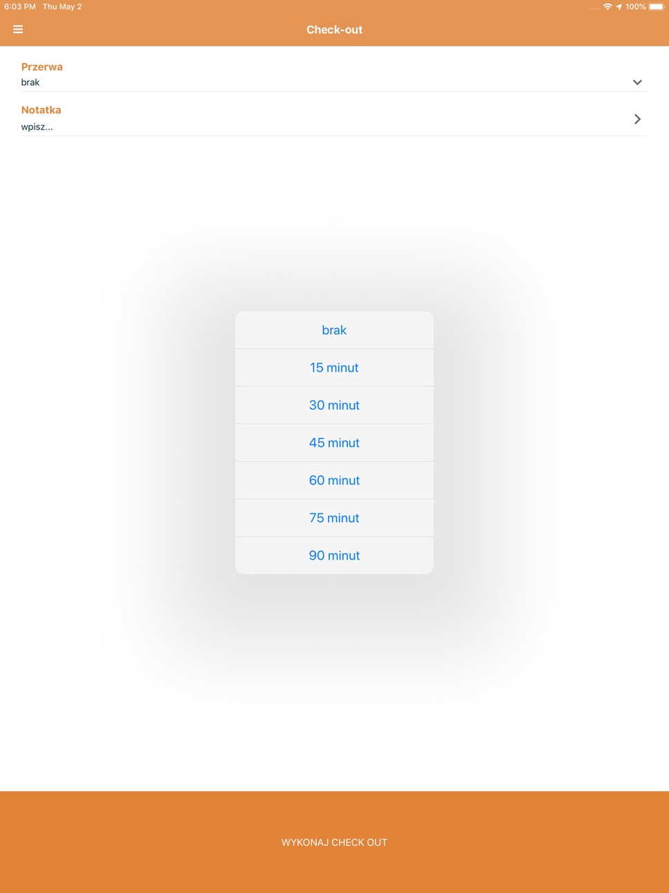 iPad screenshot
