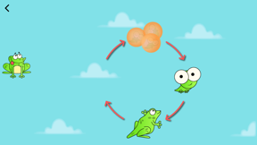 Curious World: Preschool Learn screenshot